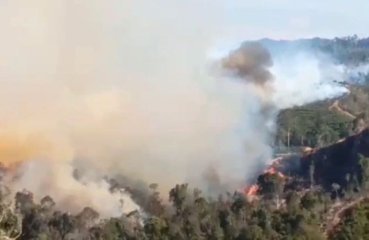 Jumlah Titik Panas di Riau Kembali Meningkat, Hari Ini Terpantau 158 Titik