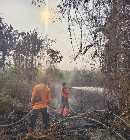 Di Pulau Sumatera Terdeteksi 5.983 Hotspot, Riau 115 Titik