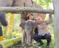 Nona Seroja si Anak Gajah TNTN,  Simbol Harapan Baru Konservasi 